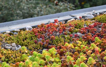 the cost of Shaftenhoe End green roof installation