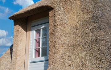 Shaftenhoe End thatch roof disadvantages